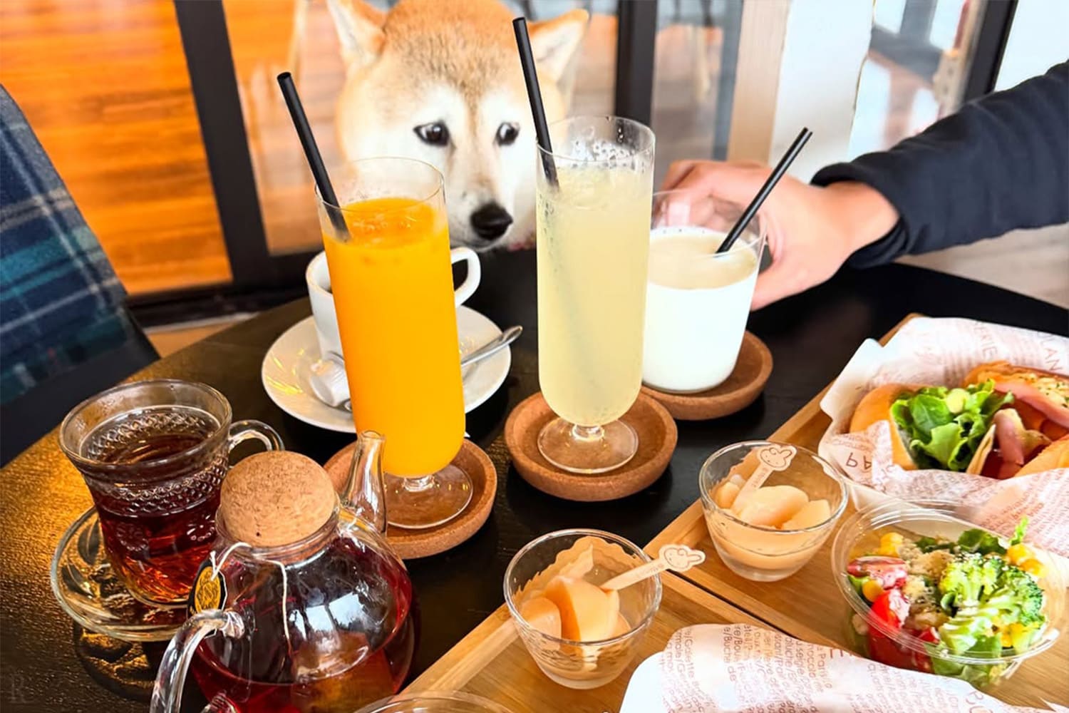 食事もずっと一緒